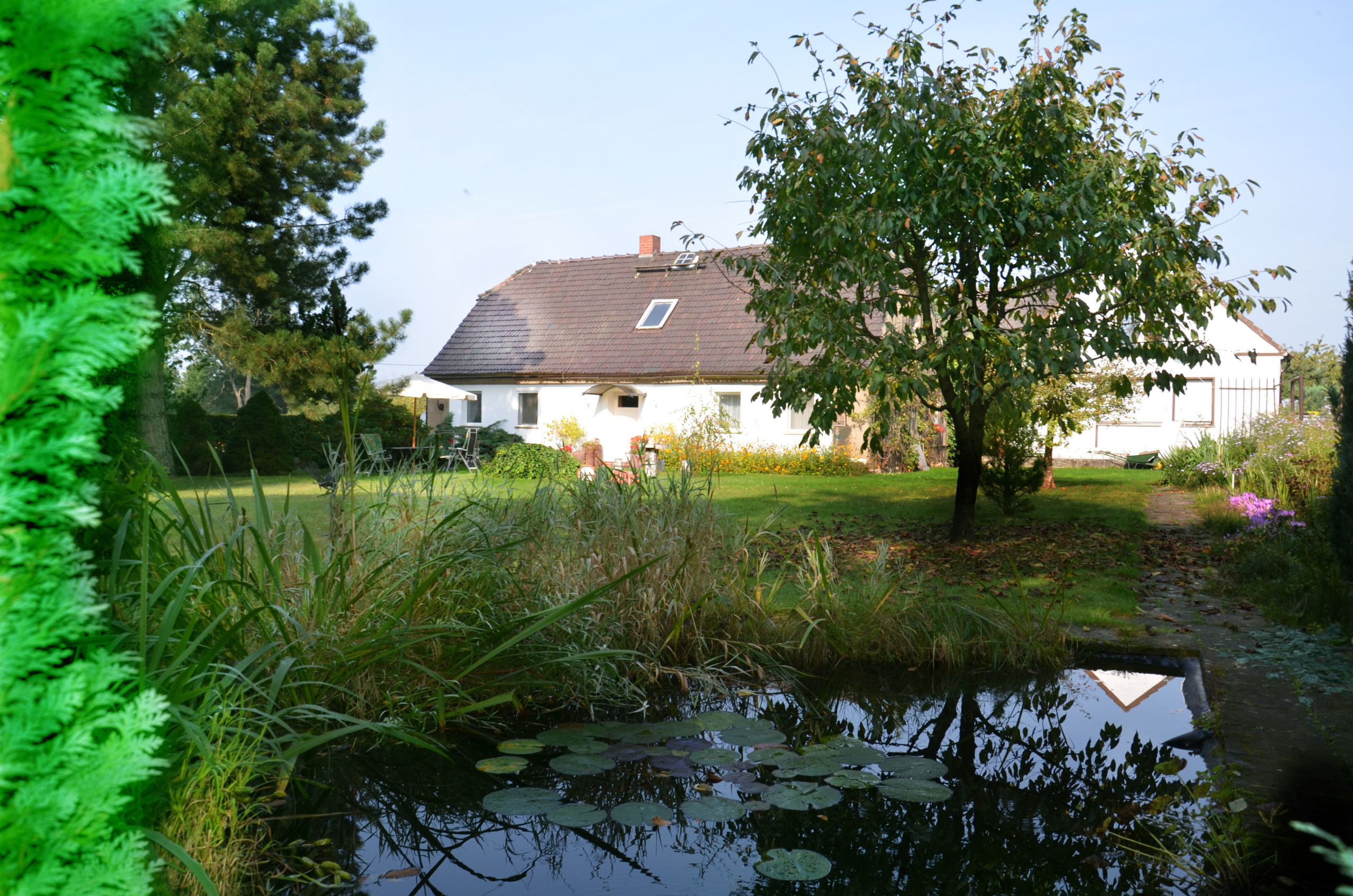 Garten mit Teich Ferienhaus Siebert in Lohsa