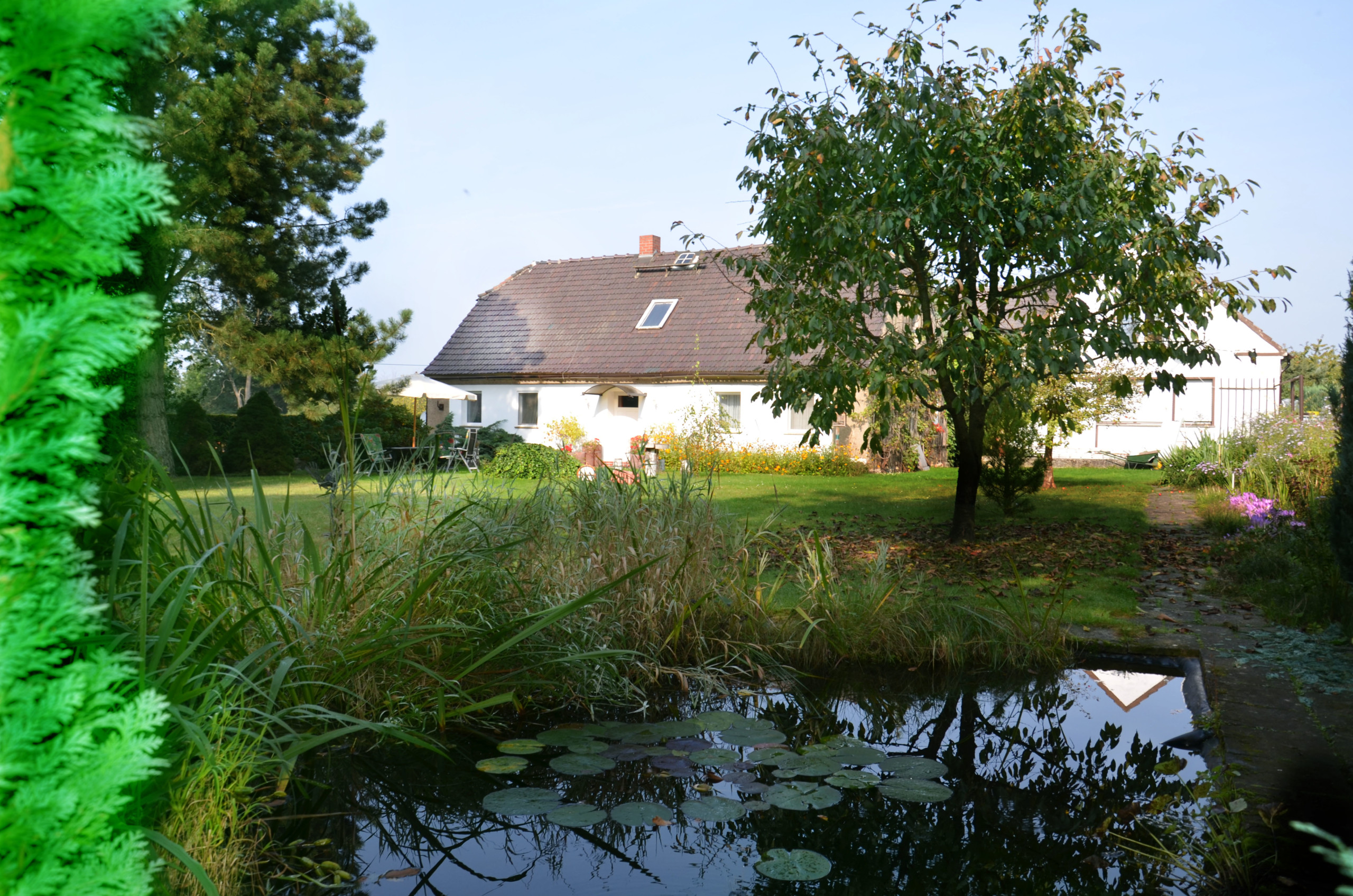 Außensicht des Ferienhauses Siebert in Lohsa mit Teich